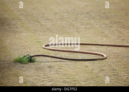 Tubo flessibile da giardino sulla erba marrone Foto Stock