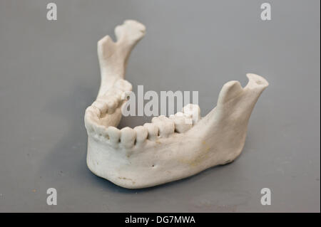 London, Regno Unito - 10 Ottobre 2013: 3D stampata modello dentale fatta di intonaci a base composito viene visualizzato in Inition, tutto in 3D studio demo in Shoreditch, a est di Londra. Foto Stock