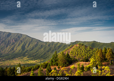 Il giovane cono vulcanico del Montana con Quemada La Cumbre Nueva montagna cresta in background, da Llano del Jable, La Palma Foto Stock