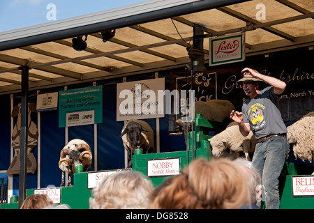 Uomo persona che tiene discorsi su varie razze di pecore Masham Sheep Fair North Yorkshire Inghilterra Regno Unito Gran Bretagna Foto Stock