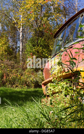 Auto classica in incolto junk yard che è ormai diventata una foresta. Foto Stock