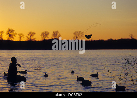 Un cacciatore di anatre mette i nostri falsi bersagli su un lago a sunrise mentre la caccia di anatre vicino a Austin in Texas Foto Stock