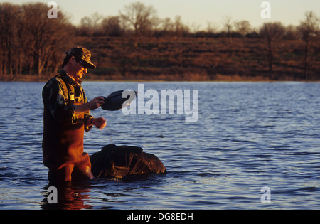 Un cacciatore di anatre mette i nostri falsi bersagli su un lago a sunrise mentre la caccia di anatre vicino a Austin in Texas Foto Stock