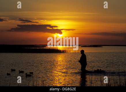 Un cacciatore di anatre riprende il suo decoy al tramonto sulla baia vicino a Seadrift nel Texas Foto Stock