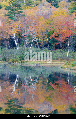 La riflessione della diga lungo il fiume Saco presso la casa di Willey sito storico nelle White Mountains, New Hampshire USA Foto Stock