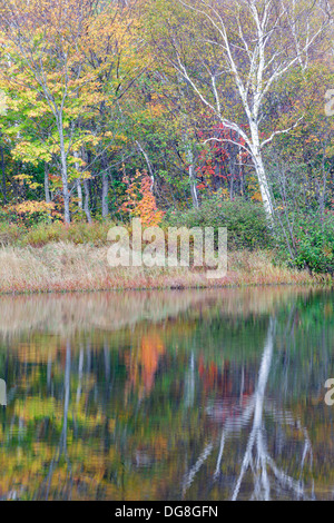 La riflessione della diga lungo il fiume Saco presso la casa di Willey sito storico nelle White Mountains, New Hampshire USA Foto Stock
