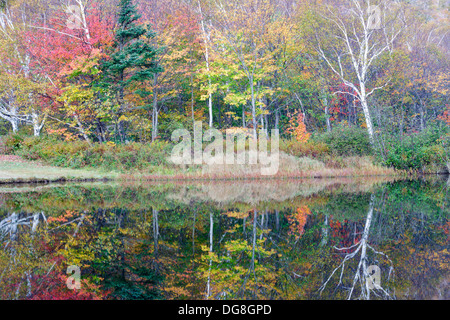 La riflessione della diga lungo il fiume Saco presso la casa di Willey sito storico nelle White Mountains, New Hampshire USA Foto Stock