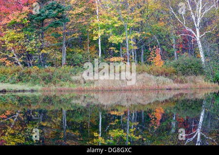 La riflessione della diga lungo il fiume Saco presso la casa di Willey sito storico nelle White Mountains, New Hampshire USA Foto Stock