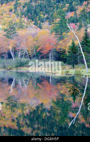 La riflessione della diga lungo il fiume Saco presso la casa di Willey sito storico nelle White Mountains, New Hampshire USA Foto Stock