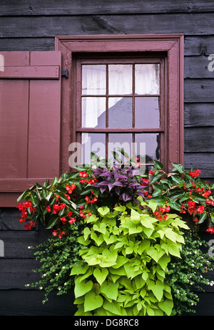 Close up verticale cabina vintage davanzale esterno con Vecchie persiane di legno e giardino windowbox a Strasburgo, Pennsylvania, Stati Uniti d'America, USA, America del Nord Foto Stock