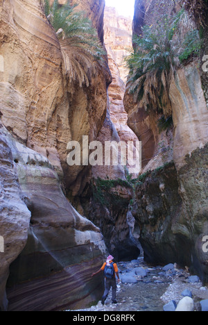 Trekking fino Wadi Ghweyr in Dana Riserva della Biosfera, Giordania Foto Stock