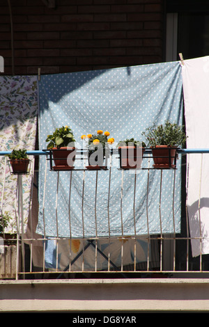 Fioriere sul balcone ringhiere in appartamento a roma italia Foto Stock