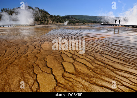 Thermophyllic colonie di alghe nei pressi di Grand Prismatic Spring nel Midway Geyser Basin Parco Nazionale di Yellowstone, Wyoming USA Foto Stock