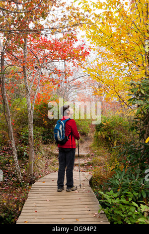 Escursionista sul sentiero nel cimitero di campi - Blue Ridge Parkway - vicino a Asheville, Carolina del Nord Foto Stock