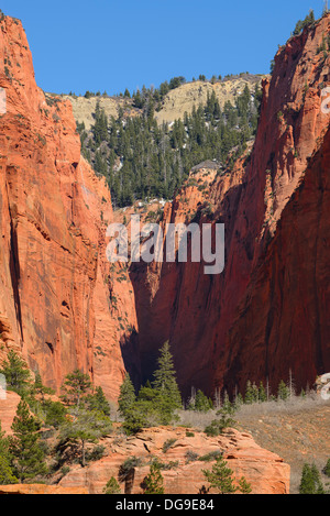 Kolob Canyon, il Parco Nazionale di Zion, Utah, Stati Uniti d'America Foto Stock