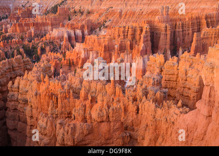 Bryce Canyon all'alba, dal punto al tramonto, Parco Nazionale di Bryce Canyon, Utah, Stati Uniti d'America Foto Stock