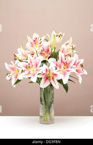 Bouquet di gigli rosa in un vaso di vetro Foto Stock