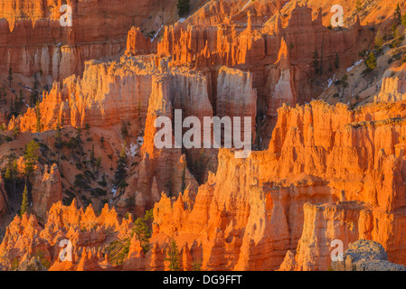 Bryce Canyon all'alba, dal punto al tramonto, Parco Nazionale di Bryce Canyon, Utah, Stati Uniti d'America Foto Stock