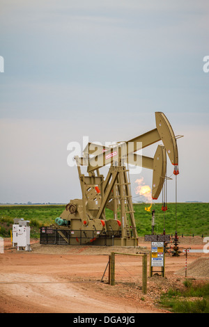 Olio pumpers e svasatura pozzi naturali in Bakken, riprodurre i campi di olio nei pressi di Williston, il Dakota del Nord, Stati Uniti d'America. Foto Stock
