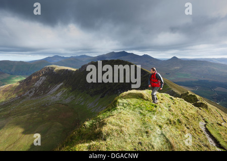 Hillwalker su Trum y Ddysgl, parte della cresta Nantlle a piedi. Parco Nazionale di Snowdonia. Gwynedd. Il Galles. Regno Unito. Foto Stock