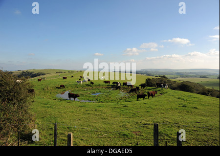 Vedute lungo la South Downs Way a Ditchling beacon vicino a Brighton SUSSEX REGNO UNITO Foto Stock