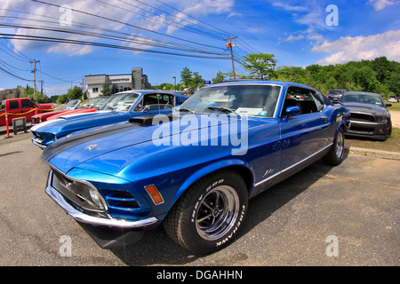 Classico Ford car show Long Island New York Foto Stock