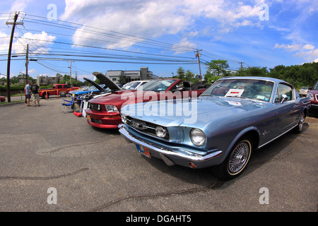 Classico Ford car show Long Island New York Foto Stock