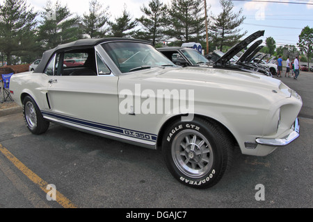 1967 Ford Shelby Mustang GT 350 Long Island New York Foto Stock