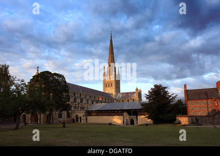 Vista estiva di Norwich Cathedral e Norwich City, contea di Norfolk, Inghilterra, Regno Unito Foto Stock