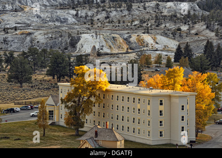 Mammoth Hot Springs città Yellowstone NP Wyoming USA Foto Stock