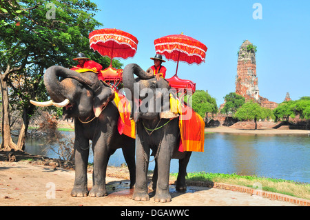 Equitazione elefante intorno al parco storico di Ayutthaya Foto Stock