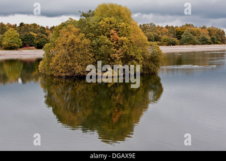 Colorate riflessioni sul tranquillo parco Clatto Pond in ambiente urbano Dundee,UK Foto Stock