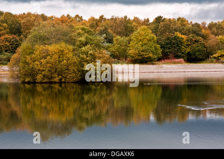 Colori d'Autunno riflessioni sul tranquillo parco Clatto Pond in ambiente urbano Dundee,UK Foto Stock