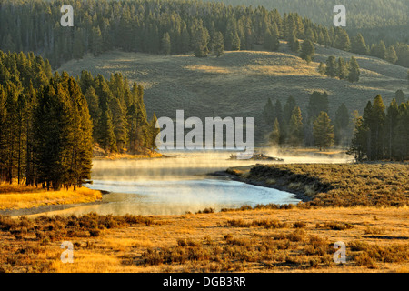 Le nebbie di mattina su Yellowstone River vicino al vulcano di fango Yellowstone NP Wyoming USA Foto Stock