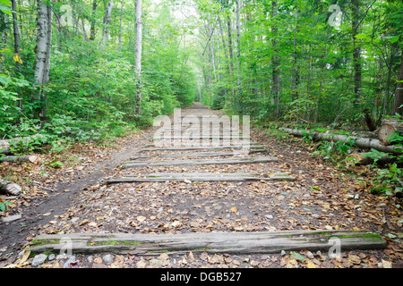 Traversine ferroviarie dal vecchio ramo orientale & Lincoln ferrovia lungo Lincoln Woods Trail a Lincoln, New Hampshire USA. Foto Stock