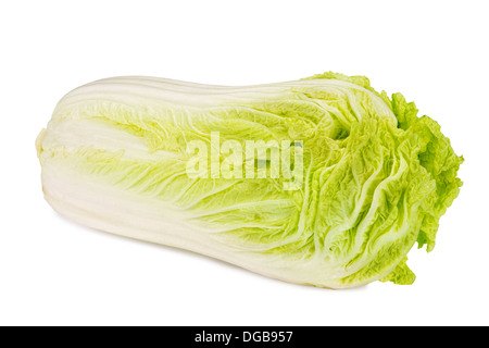 Freschi cavoli cinesi isolati su sfondo bianco Foto Stock