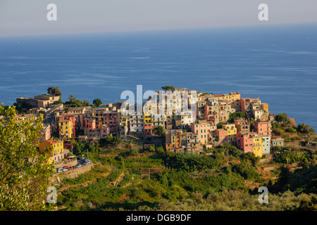 Il borgo di Corniglia nelle Cinque Terre, Italia Foto Stock