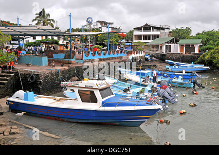 Barche da pesca Puerto Ayora isola di Santa Cruz tslands Galapagos Ecuador Foto Stock