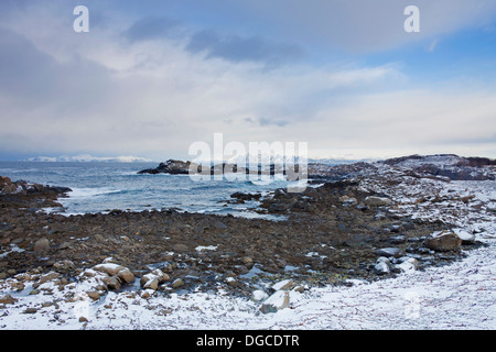 Spiaggia rocciosa lungo la costa nella neve in inverno, Laukvik, Austvågøy, Isole Lofoten in Norvegia Foto Stock