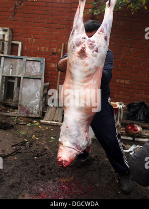 Il sacrificio di ram durante la celebrazione di Al-Adha Foto Stock