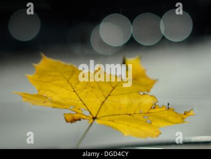 Amburgo, Germania. Xviii oct, 2013. Una foglia di colore giallo si trova sul parabrezza di un auto a Amburgo, Germania, 18 ottobre 2013. Foto: Angelika Warmuth/dpa/Alamy Live News Foto Stock