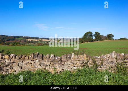 Una pietra a secco muro di confine impostato nella paesaggistica paesaggio agricolo del Yorkshire wolds, Inghilterra sotto un cielo blu chiaro. Foto Stock