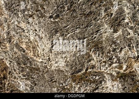 Una sezione trasversale di limstone rock. Parete di Dunajec River Gorge, il Pieniny mountains, Polonia. Foto Stock