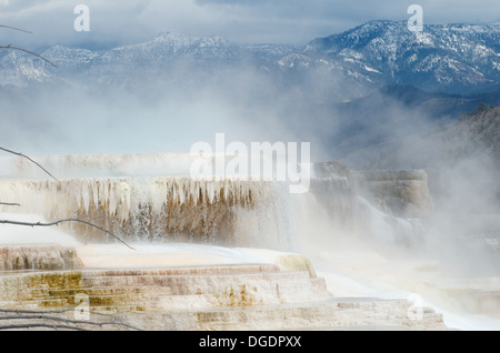 Giove terrazza, un carbonato di sodio terrazza costruito da acqua geotermica nel corso dei secoli, in Mammoth Hot Springs, a Yellowstone Foto Stock