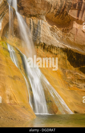 Abbassare Calf Creek Falls, Scalone Escalante National Monument, Utah, Stati Uniti d'America Foto Stock