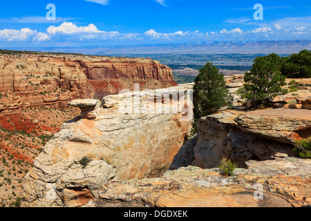 Vista da Ute Canyon, a Colorado National Monument, Colorado, STATI UNITI D'AMERICA Foto Stock