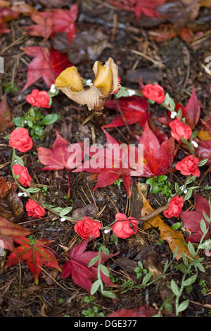 Ghirlanda di fiori che stabilisce in caduta foglie d'oro Foto Stock