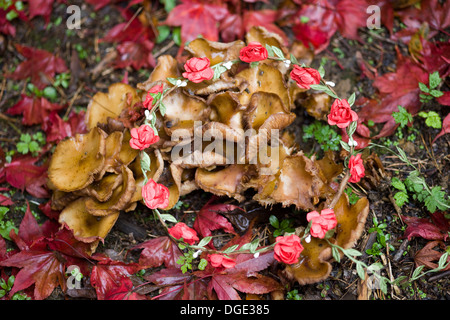 Ghirlanda di fiori che stabilisce in caduta foglie d'oro Foto Stock