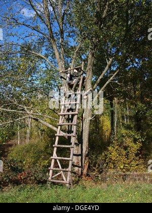 Paesaggio con scaletta stile di supporto albero per la caccia Foto Stock