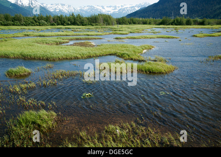 Le zone umide in rotta per Whittier da Anchorage Foto Stock